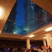 透明游泳池制作為什么使用亞克力材料？